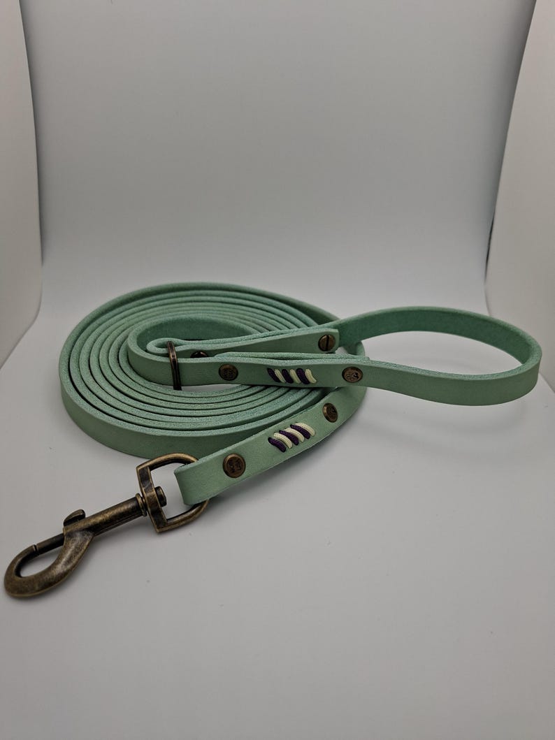 Set Halsband und Umhängeleine aus Fettleder mit Paracord Flechtung – Bild 8