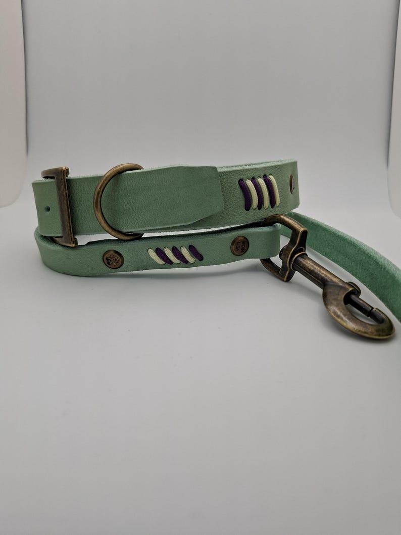 Set Halsband und Umhängeleine aus Fettleder mit Paracord Flechtung – Bild 3