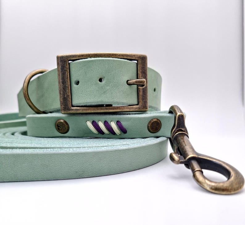 Set Halsband und Umhängeleine aus Fettleder mit Paracord Flechtung