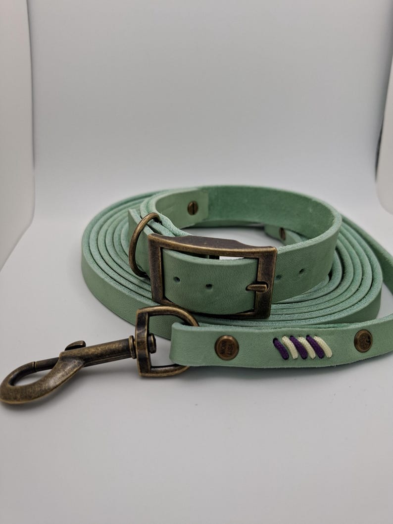 Set Halsband und Umhängeleine aus Fettleder mit Paracord Flechtung – Bild 4