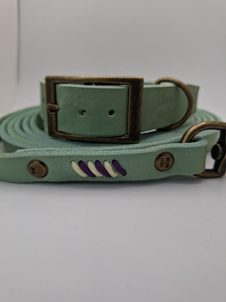 Set Halsband und Umhängeleine aus Fettleder mit Paracord Flechtung – Bild 5