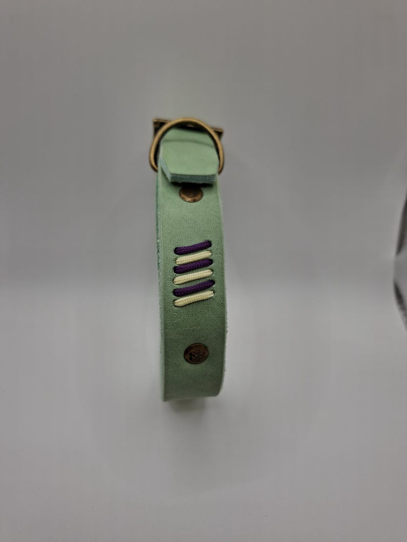 Set Halsband und Umhängeleine aus Fettleder mit Paracord Flechtung – Bild 7