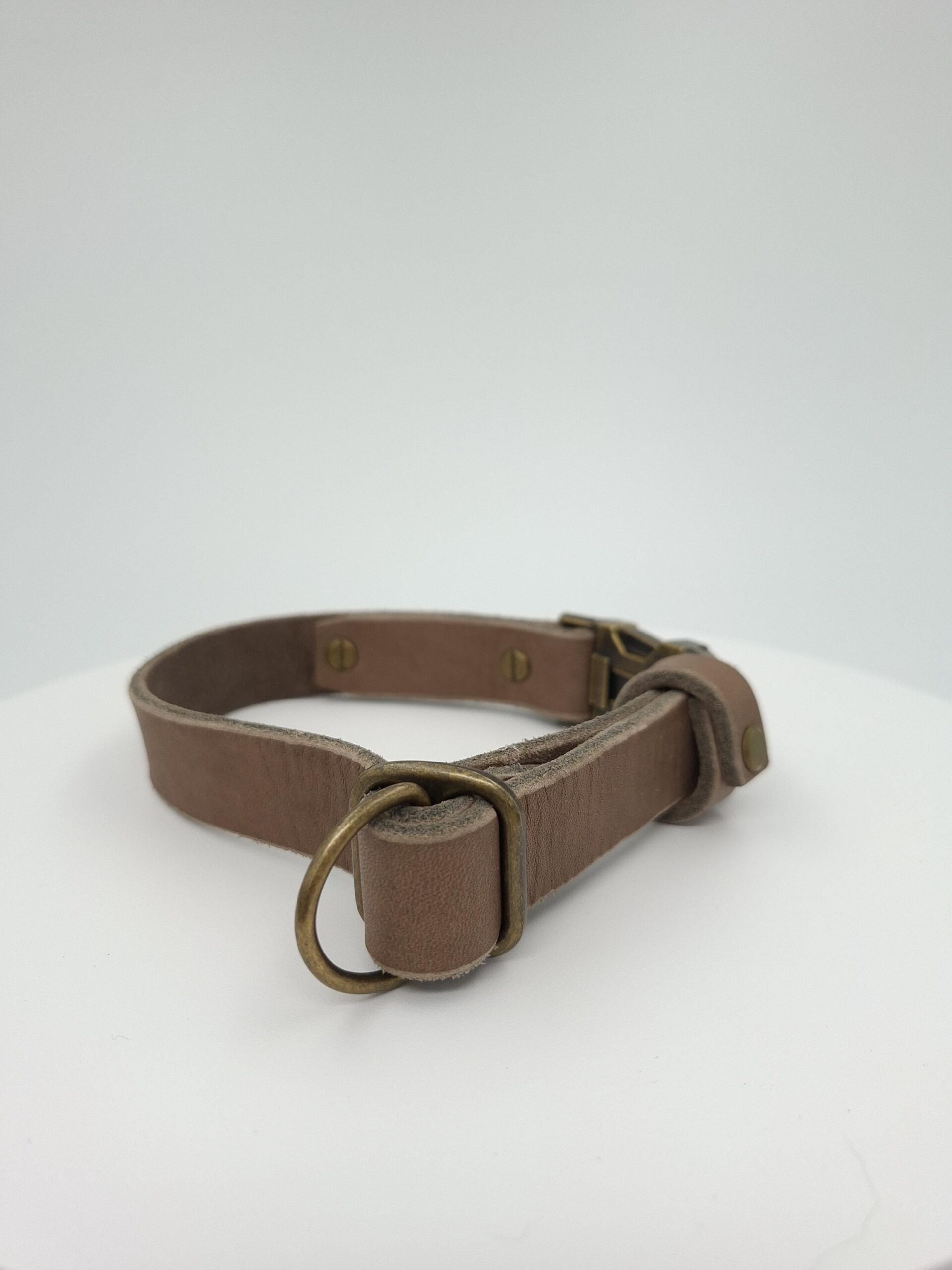 Set Halsband und Umhängeleine aus Fettleder mit Paracord Flechtung – Bild 5