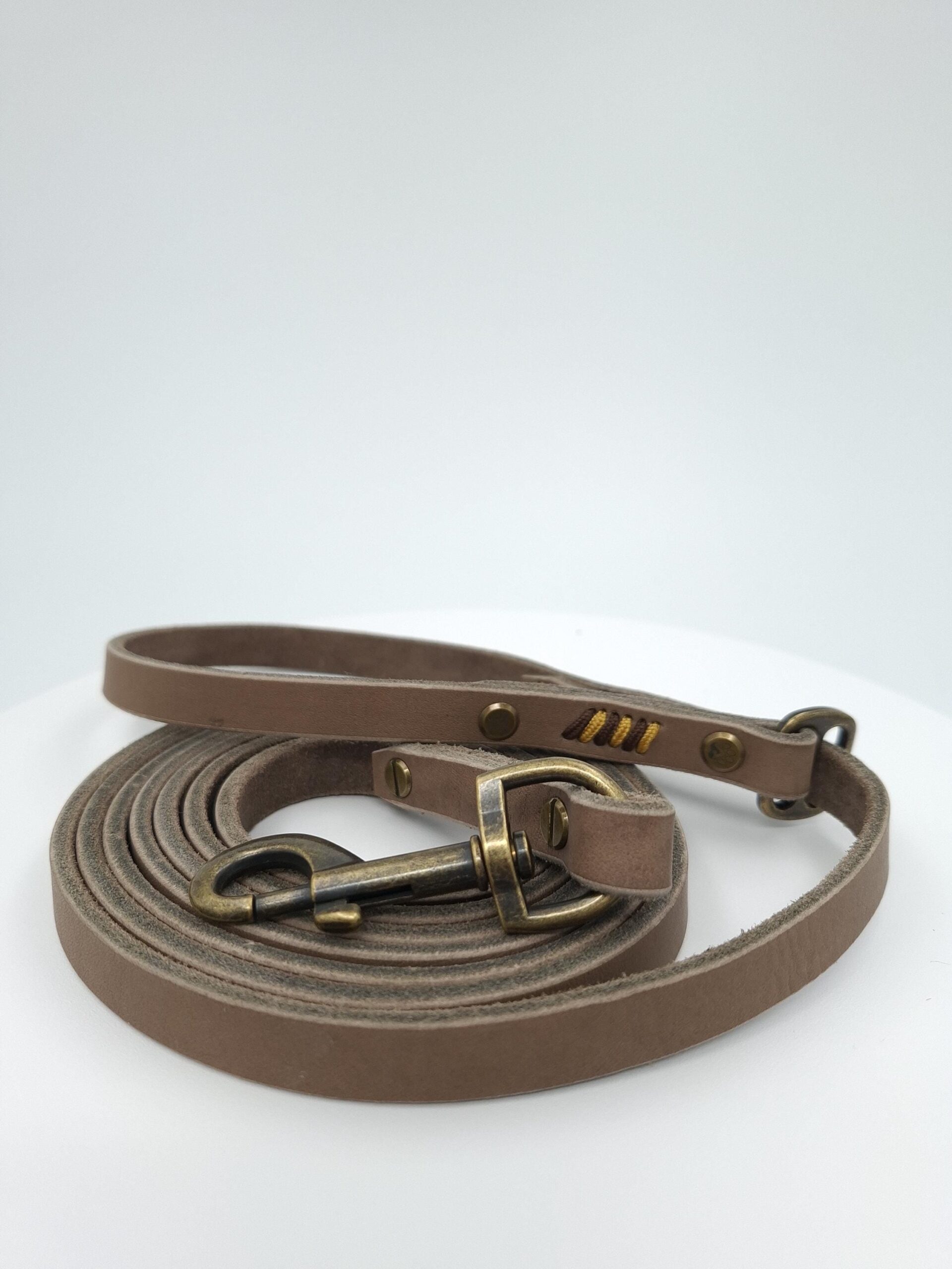 Set Halsband und Umhängeleine aus Fettleder mit Paracord Flechtung – Bild 6