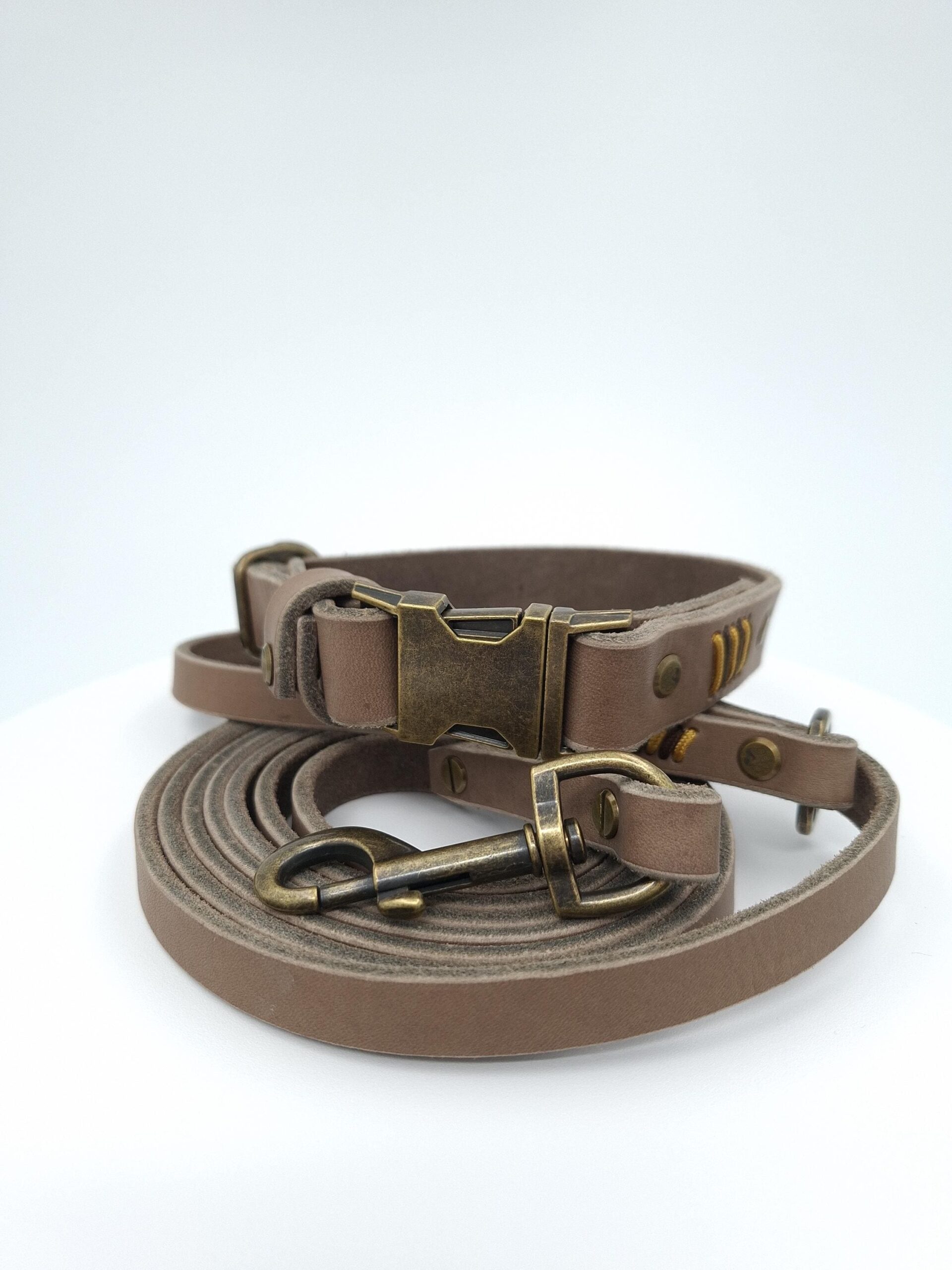 Set Halsband und Umhängeleine aus Fettleder mit Paracord Flechtung – Bild 2