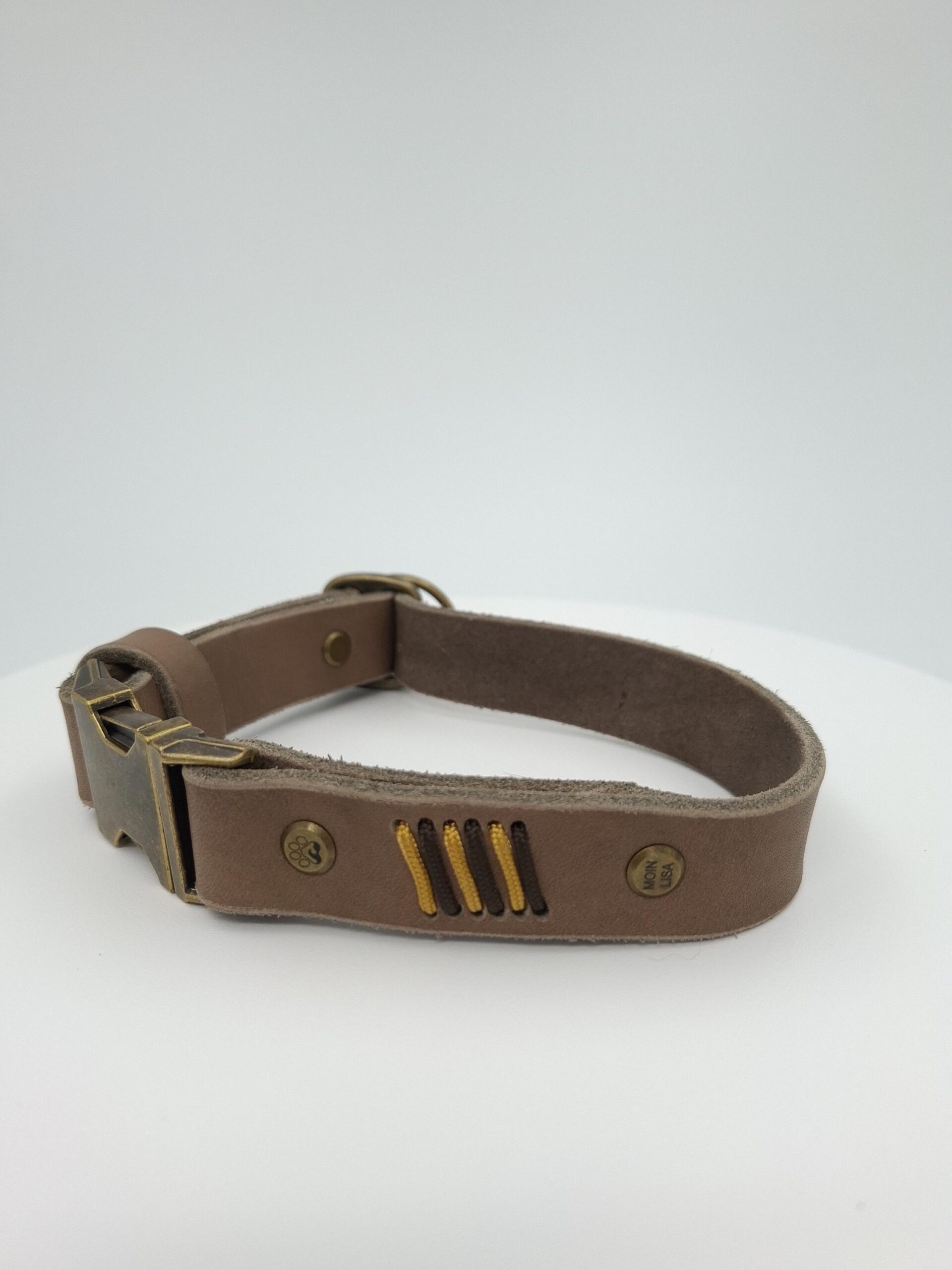 Set Halsband und Umhängeleine aus Fettleder mit Paracord Flechtung – Bild 4