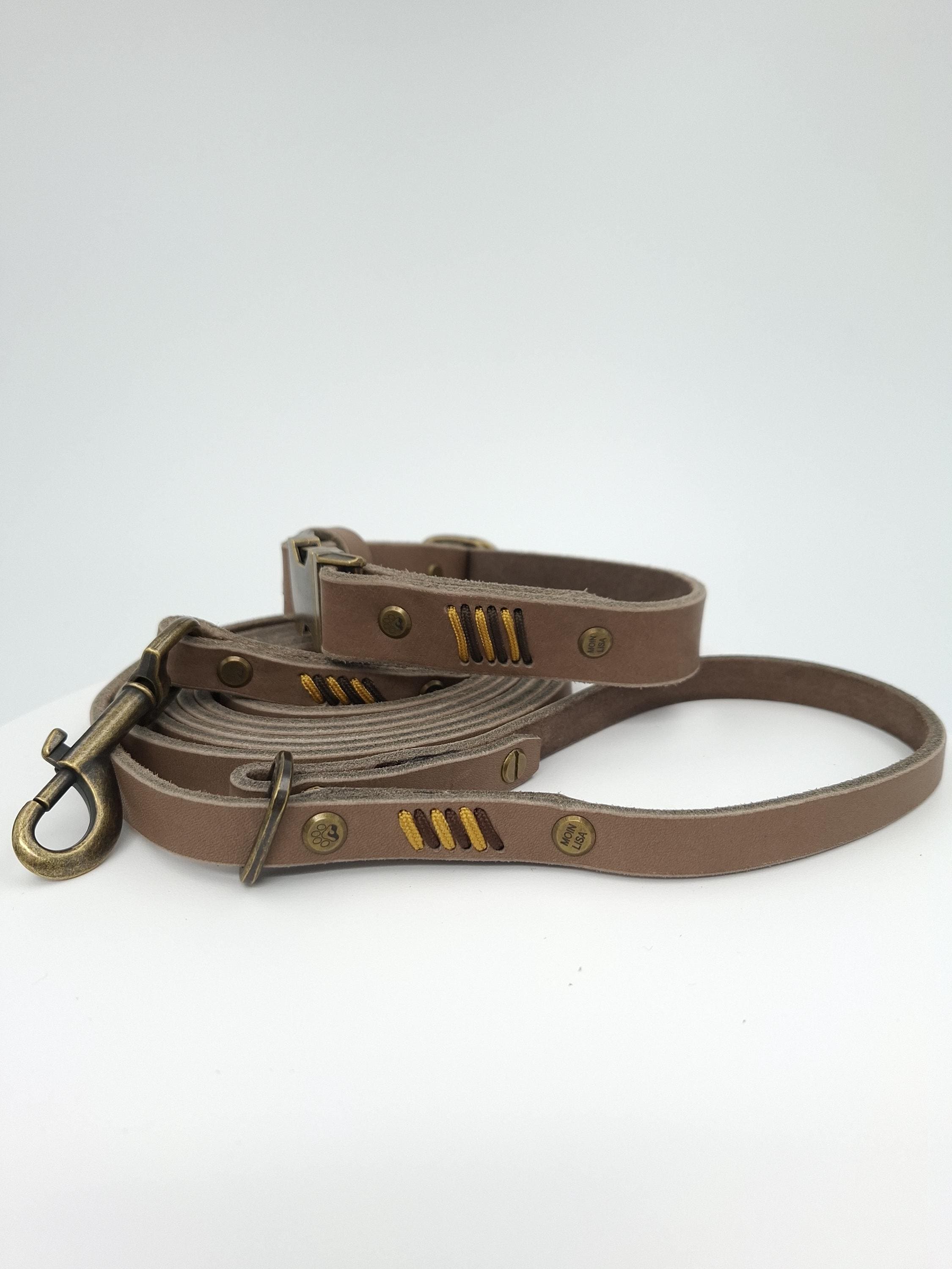 Set Halsband und Umhängeleine aus Fettleder mit Paracord Flechtung