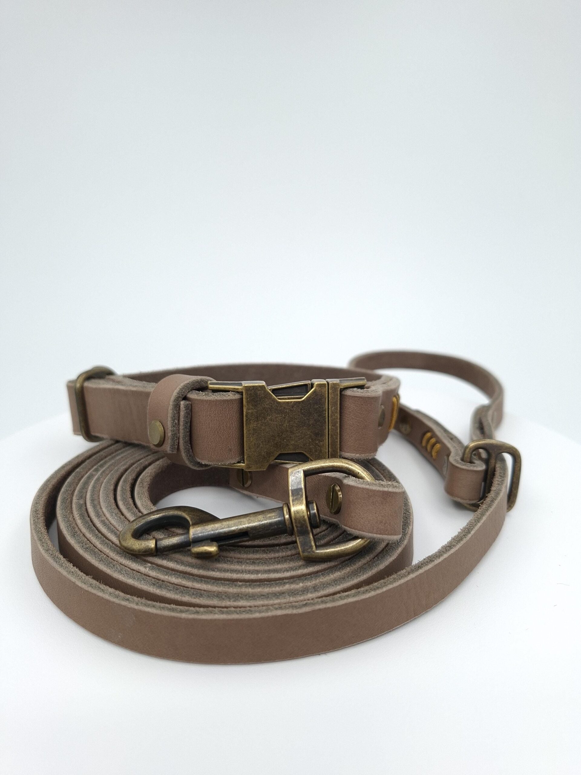 Set Halsband und Umhängeleine aus Fettleder mit Paracord Flechtung – Bild 3